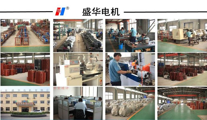高效節(jié)能電機,電機生產(chǎn)廠家,山東電機廠,環(huán)保設(shè)備專用電機,盛華電機 高效節(jié)能電機,電機生產(chǎn)廠家,山東電機廠,環(huán)保設(shè)備專用電機,盛華電機