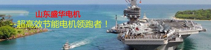 山東電機廠,電機生產(chǎn)廠家,高效節(jié)能電機