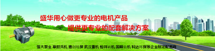 山東電機(jī)廠,磚機(jī)專用大功率電機(jī),電機(jī)定制