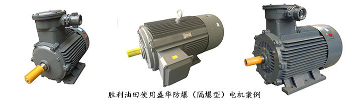 山東電機(jī)廠,高效節(jié)能電機(jī),盛華電機(jī)