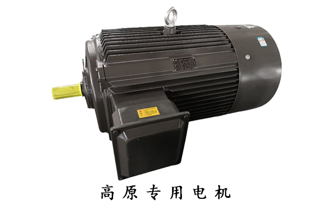 高原電機(jī)廠,高原電機(jī),電機(jī)生產(chǎn)廠家
