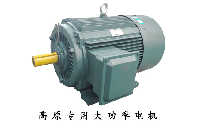 高原電機(jī)廠,高原電機(jī),電機(jī)生產(chǎn)廠家