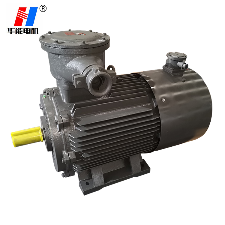 防爆電機,電機生產(chǎn)廠家,三相異步電機