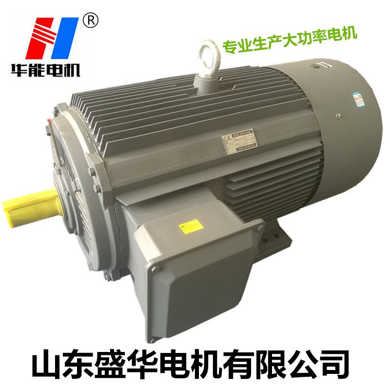 山東電機廠,電機生產廠家,大功率電機