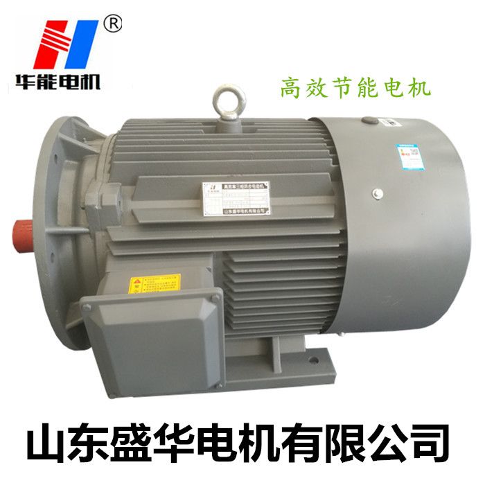 電機生產廠家,電機廠,大功率電機,大功率電機廠