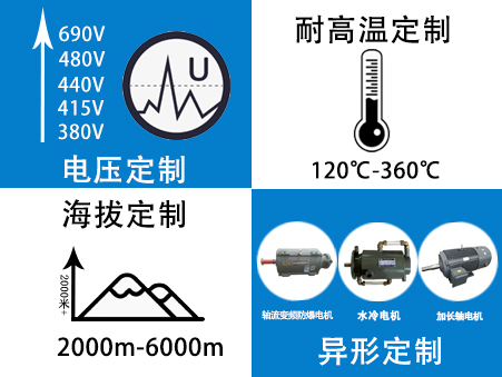 電機定制生產廠家